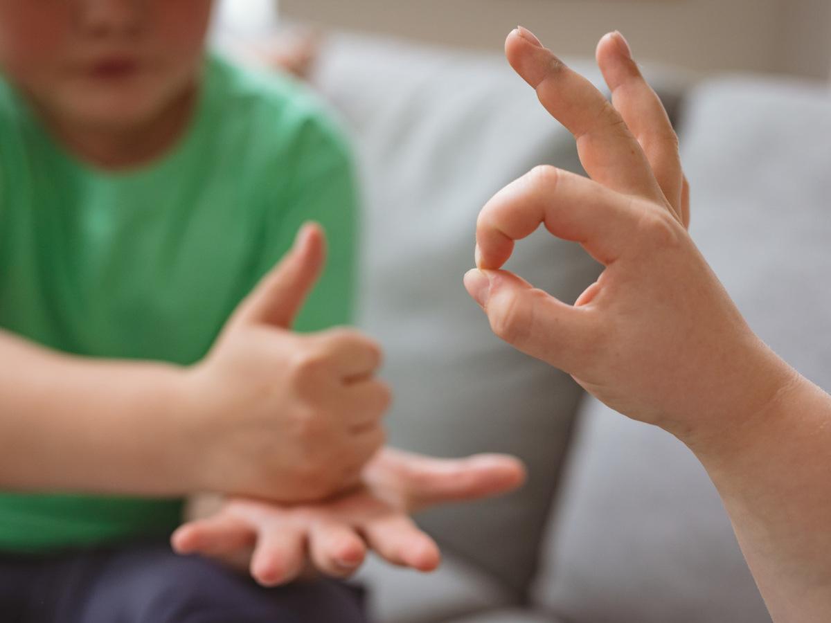 Corso Lingua dei Segni Italiana Online: Guida Completa